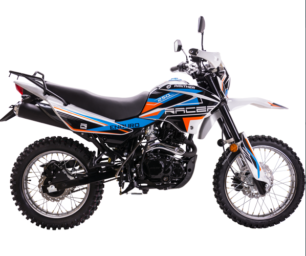 Мотоцикл Racer RC250GY-C2 Panther в Петрозаводске