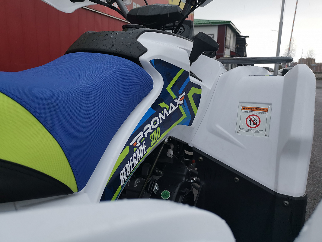 Квадроцикл PROMAX RENEGADE 280 LUX (2025) в Петрозаводске