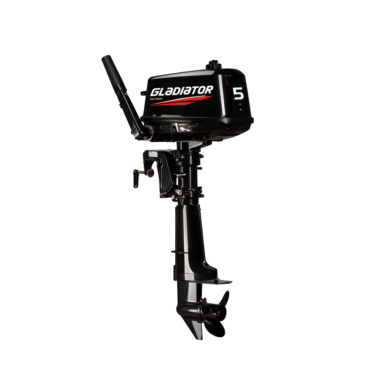 ЛОДОЧНЫЙ МОТОР GLADIATOR G5FHS в Петрозаводске