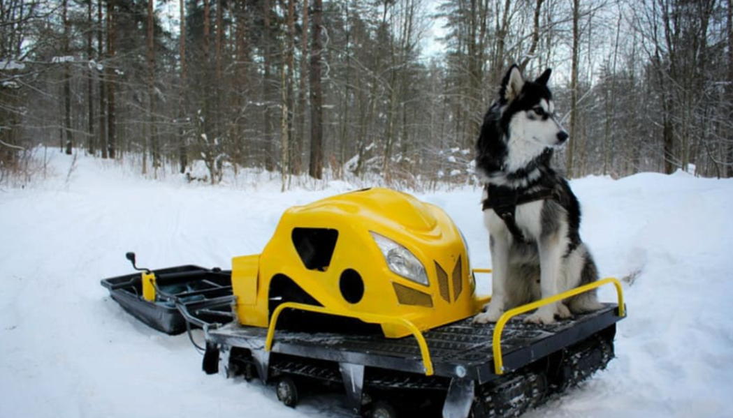 Мотобуксировщик LEBEDEV MOTORS ВОЛКОДАВ POWER V13 в Петрозаводске