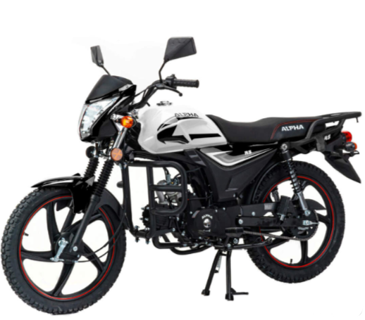 Мопед MOTOLAND (МОТОЛЕНД) Альфа RS 11 (LM48-B) в Петрозаводске