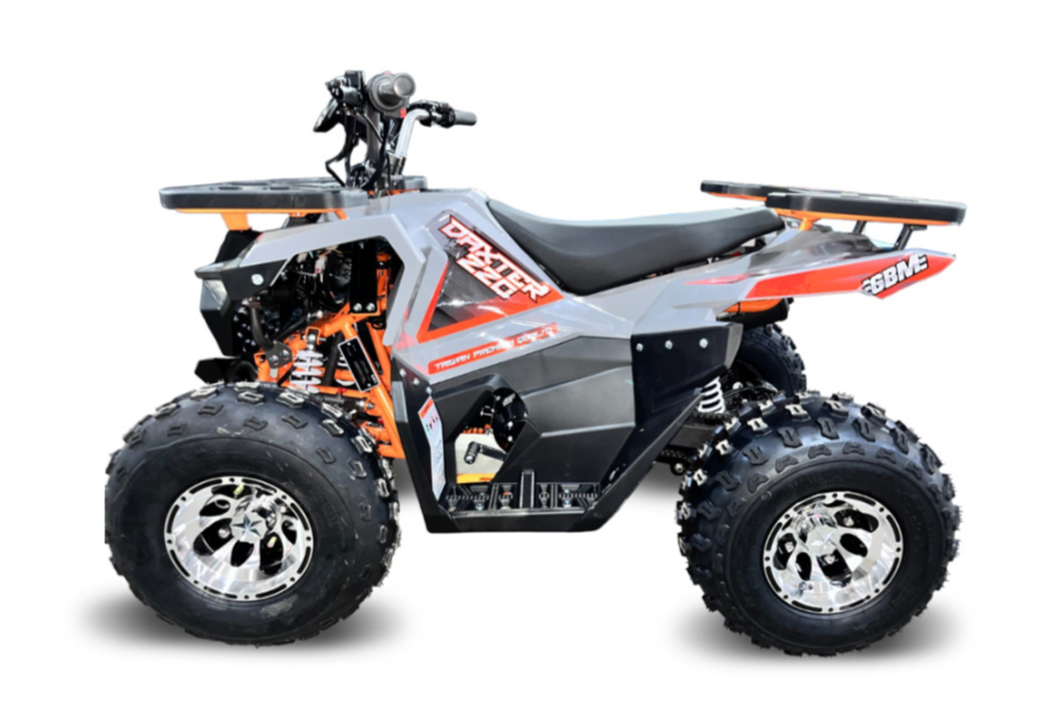 Квадроцикл GBM DAXTER 220 NEW PREMIUM в Петрозаводске