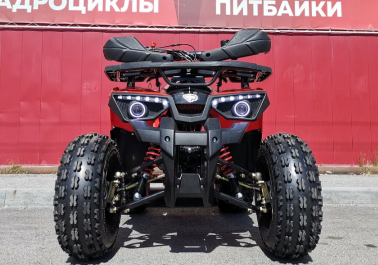 Квадроцикл PROMAX WILD 175 BASIC в Петрозаводске