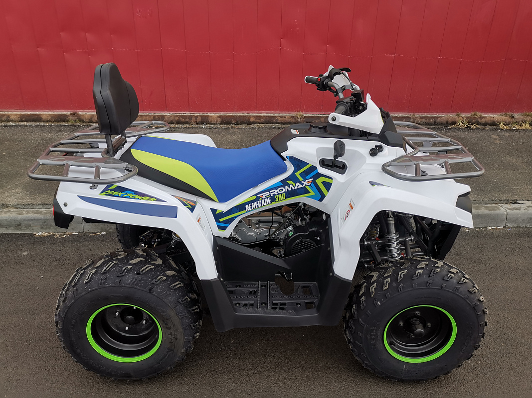 Квадроцикл PROMAX RENEGADE 280 LUX (2025) в Петрозаводске
