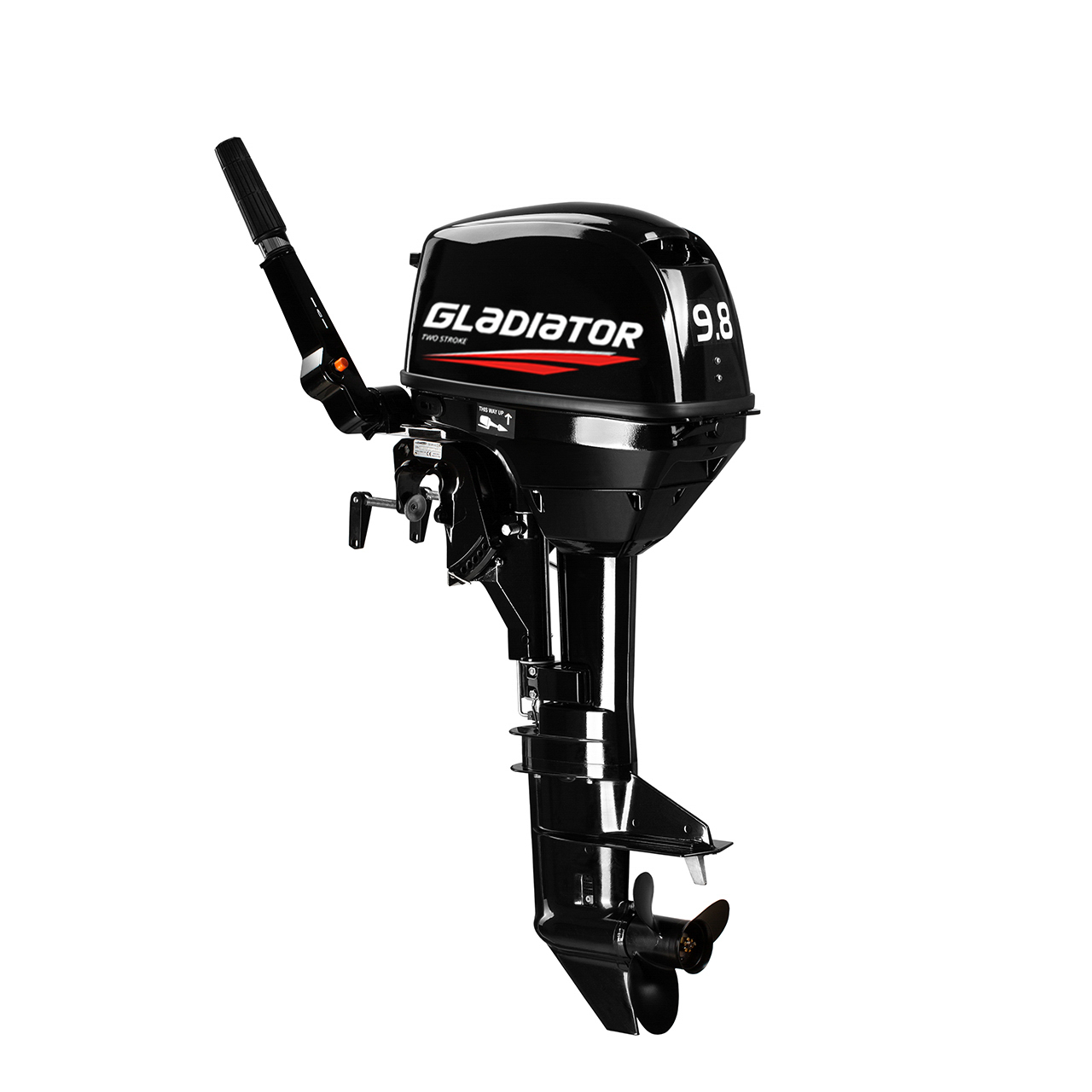 ЛОДОЧНЫЙ МОТОР GLADIATOR G9.8FHS в Петрозаводске