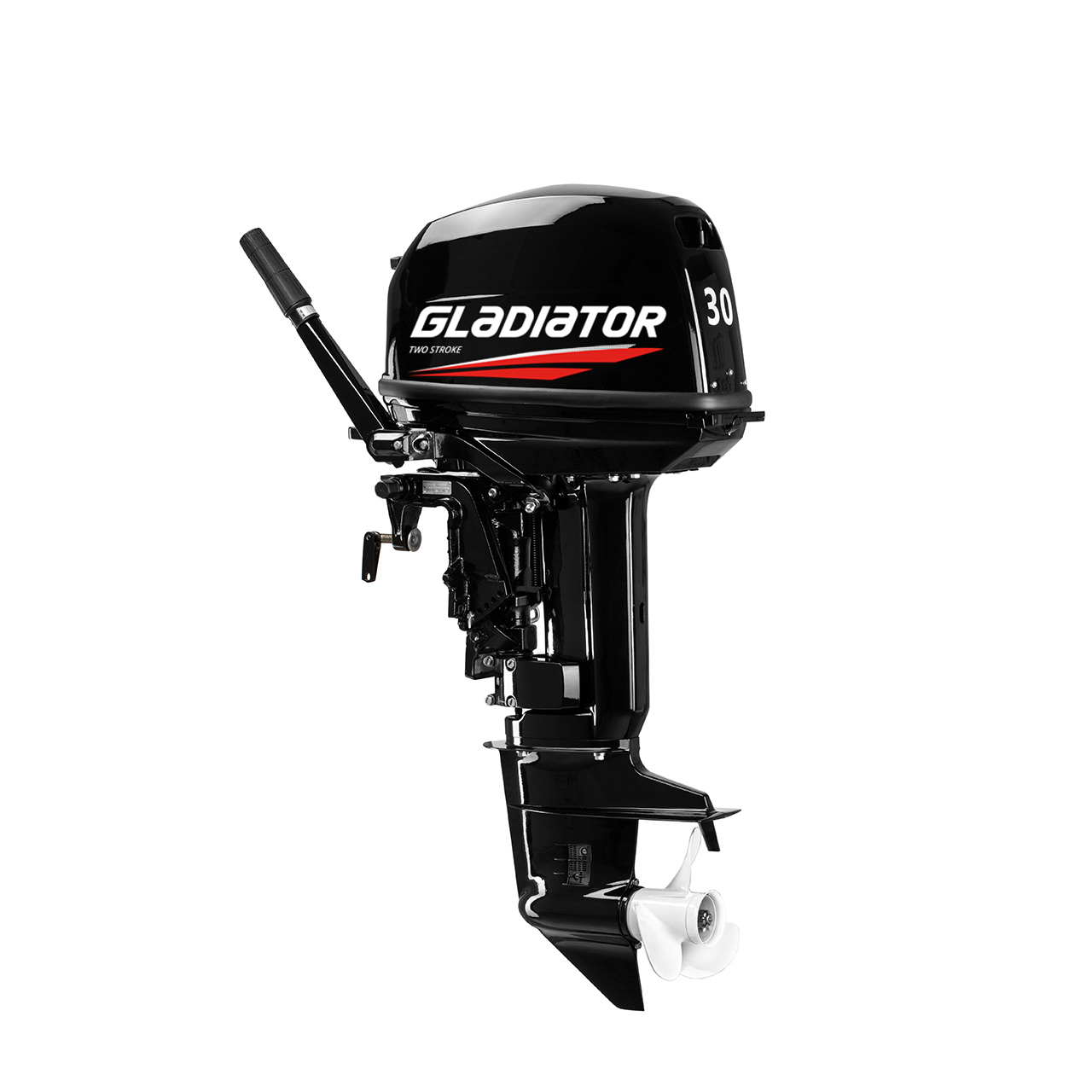 ЛОДОЧНЫЙ МОТОР GLADIATOR G30FHS в Петрозаводске