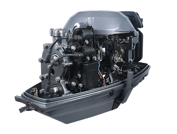 ЛОДОЧНЫЙ МОТОР ALLFA CG Т30 S в Петрозаводске