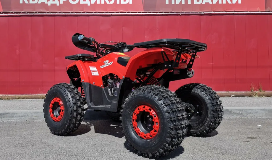 Квадроцикл PROMAX WILD 175 BASIC в Петрозаводске