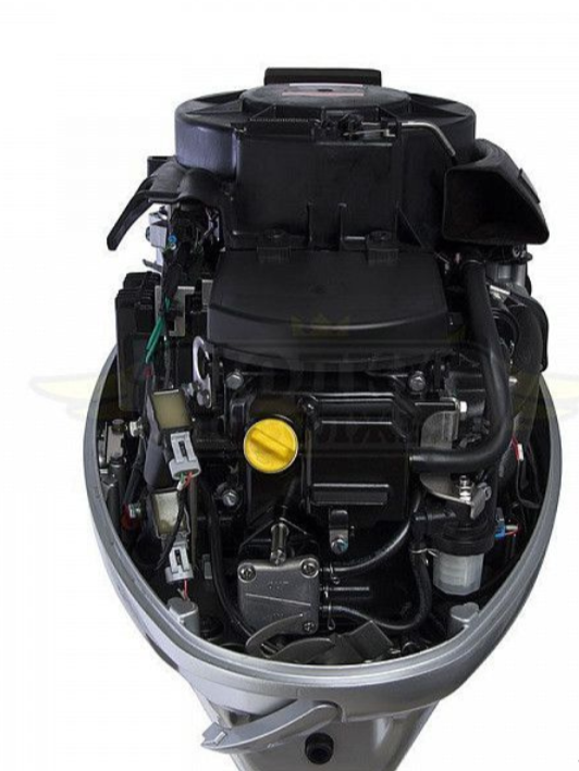 Лодочный мотор SEANOVO SNEF30FEL-EFI в Петрозаводске