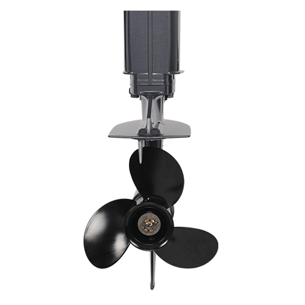 Лодочный мотор ALLFA CG Т9.9(20)MAX в Петрозаводске