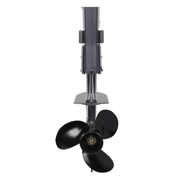 ЛОДОЧНЫЙ МОТОР ALLFA CG T9,8 Limit в Петрозаводске