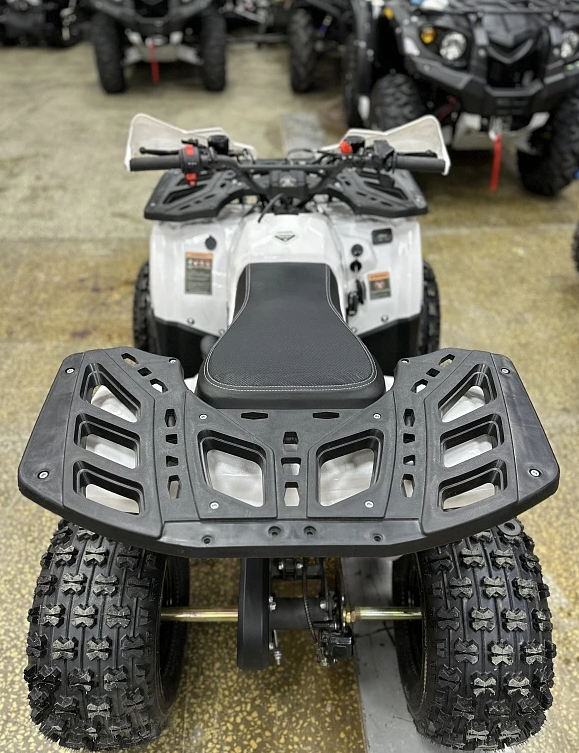 Квадроцикл PROMAX WILD 2.0 190 в Петрозаводске