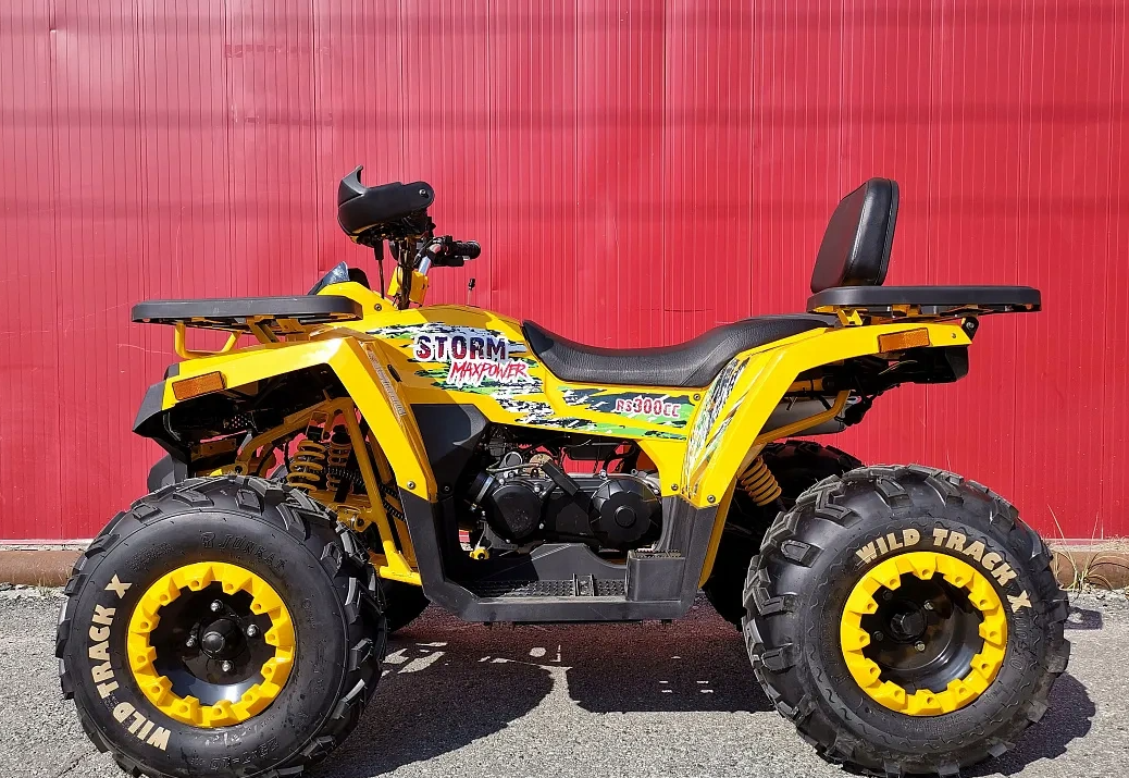 Квадроцикл PROMAX STORM 280 LUX в Петрозаводске