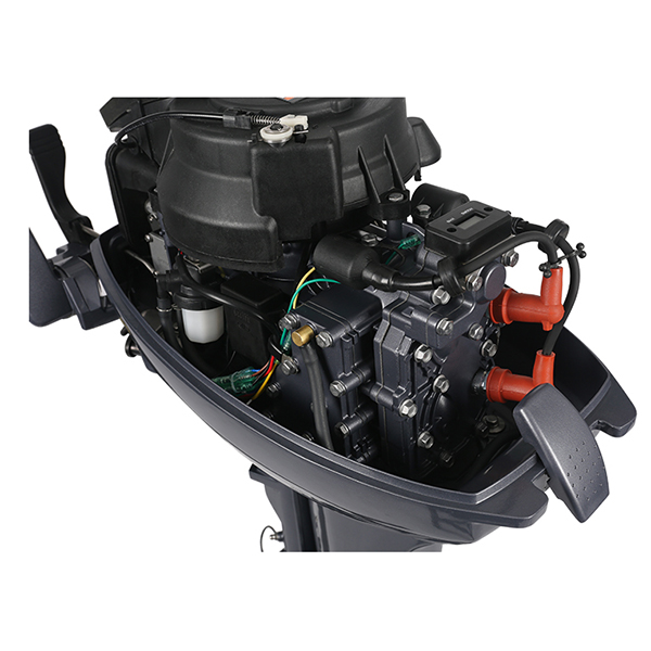 ЛОДОЧНЫЙ МОТОР ALLFA CG Т9,9 Limit в Петрозаводске