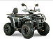 Квадроцикл YACOTA DRAGON LUX LD 150 PRO-SPORT в Петрозаводске