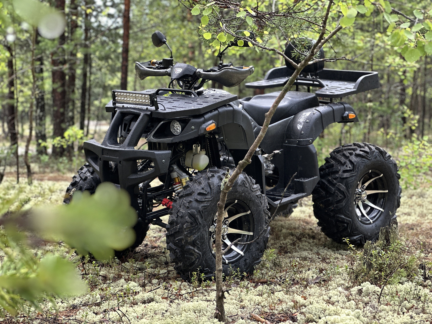 Квадроцикл PROMAX 320 DOMINATOR (2025) в Петрозаводске