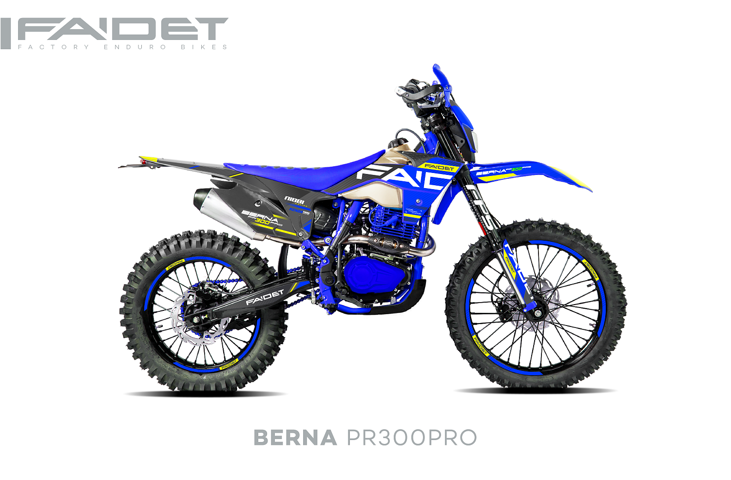 Кроссовый мотоцикл FAIDET BERNA PR300-PRO FPS в Петрозаводске