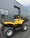 КВАДРОЦИКЛ IRBIS ATV 250  в Петрозаводске