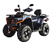 Квадроцикл MOTOLAND (МОТОЛЕНД) 300 MAX X в Петрозаводске