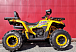 Квадроцикл PROMAX STORM 280 LUX в Петрозаводске