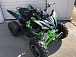 Квадроцикл PROMAX RAPTOR 300 NEW Monster в Петрозаводске