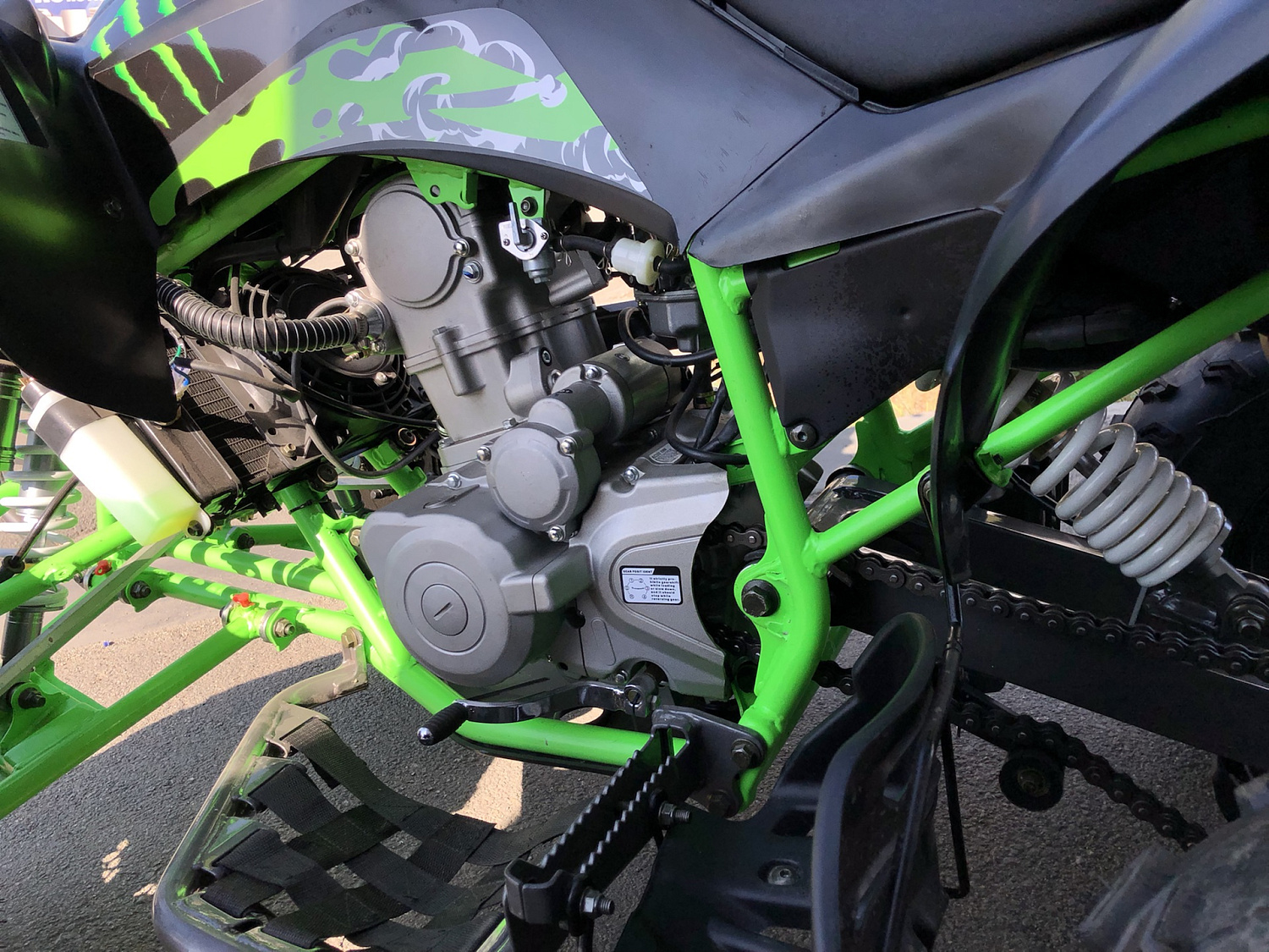 Квадроцикл PROMAX RAPTOR 300 NEW Monster в Петрозаводске