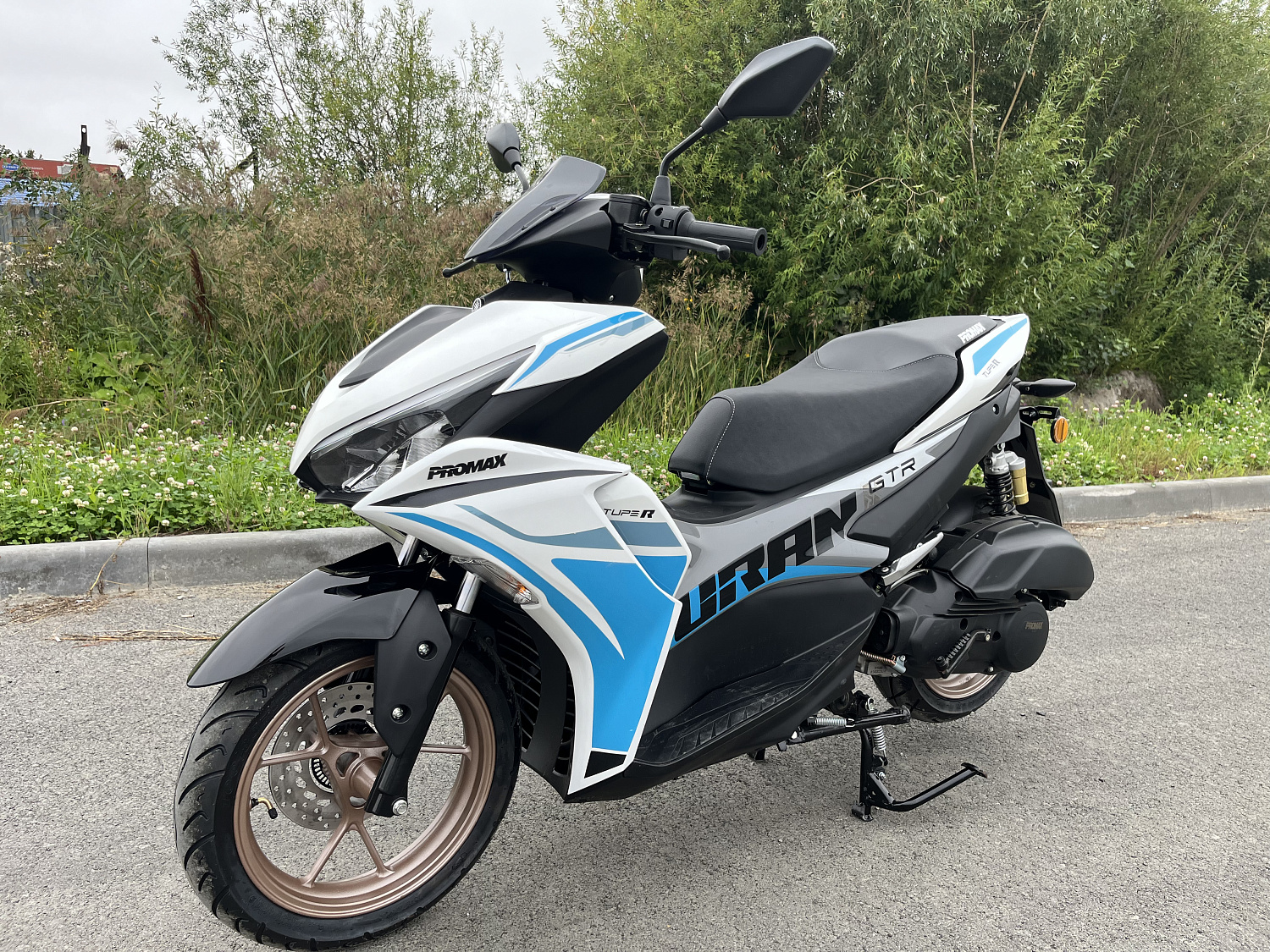 Скутер PROMAX TURAN 250 (49) в Петрозаводске