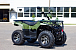 Квадроцикл IRBIS ATV 200 LUX (+лебедка) в Петрозаводске