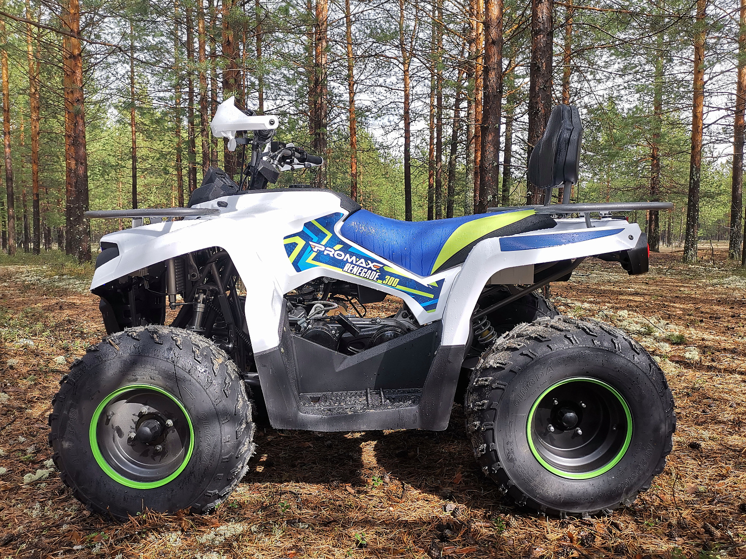 Квадроцикл PROMAX RENEGADE 280 (2025) в Петрозаводске