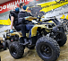 Квадроцикл PROMAX ATV 250 (2025) в Петрозаводске