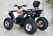 Квадроцикл GBM STORMRIDER 320 PREMIUM в Петрозаводске