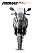 МаксиСкутер PROMAX-HONDA ADV 150 (49) (Inspired by HONDA) в Петрозаводске