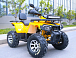 Квадроцикл MOTOLAND (МОТОЛЕНД) VOX200 WILD TRACK X PRO (баланс. вал) в Петрозаводске