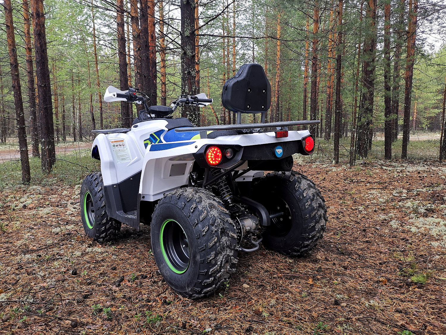 Квадроцикл PROMAX RENEGADE 280 (2025) в Петрозаводске