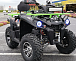 Квадроцикл PROMAX RENEGADE 280 WINCH PRO (2025) в Петрозаводске