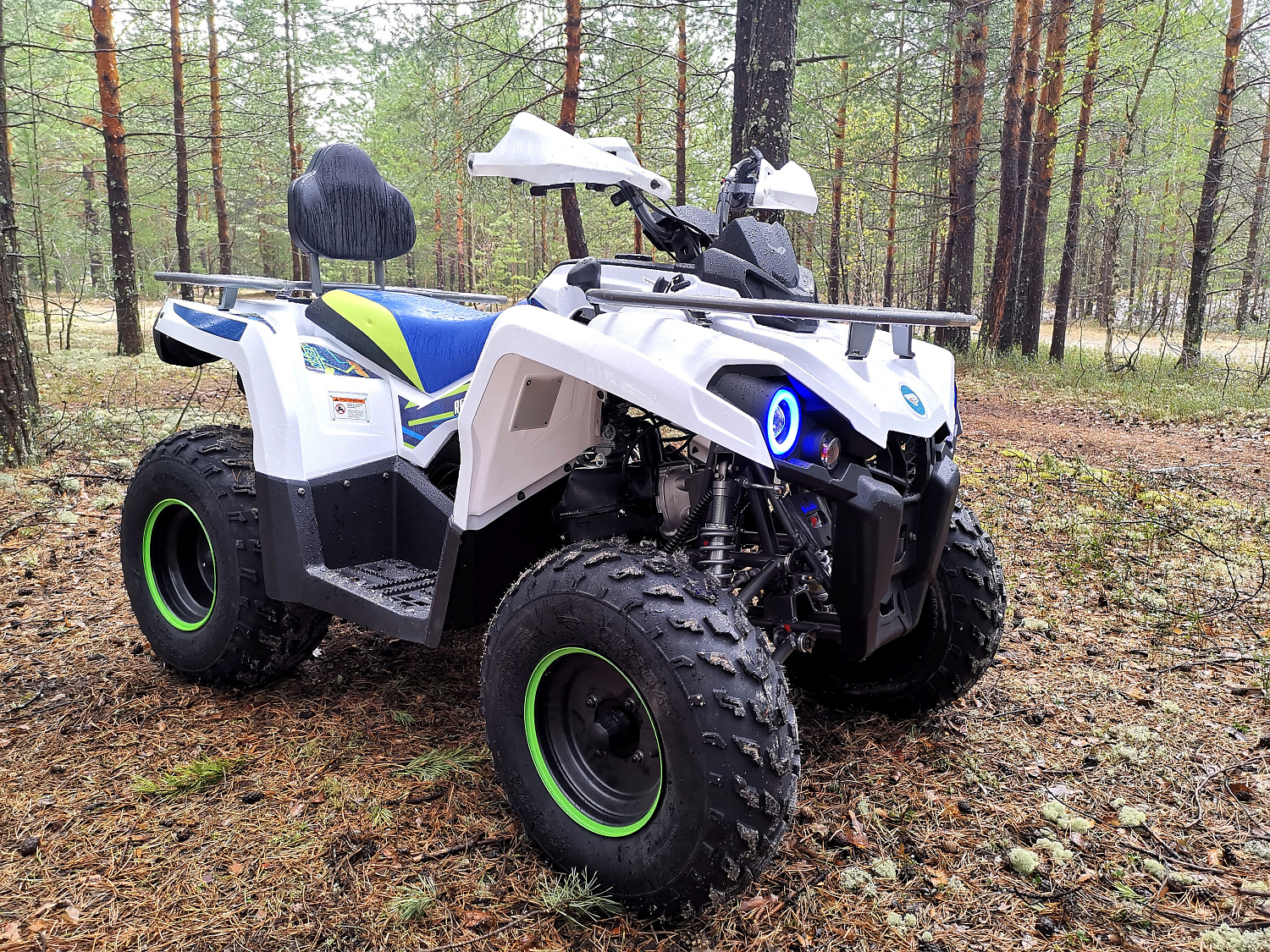 Квадроцикл PROMAX RENEGADE 280 (2025) в Петрозаводске