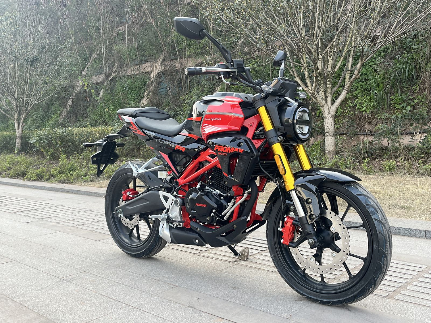 Мотоцикл PROMAX CB300 в Петрозаводске