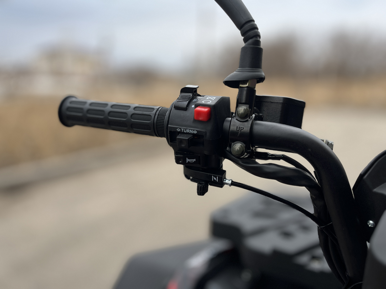 Квадроцикл PROMAX TAURUS 300 MAX-PRO LONG в Петрозаводске