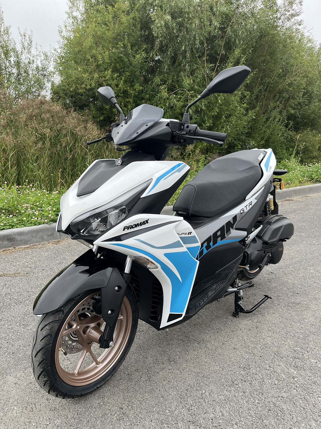 Скутер PROMAX TURAN 250 (49) в Петрозаводске